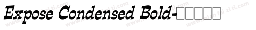 Expose Condensed Bold字体转换